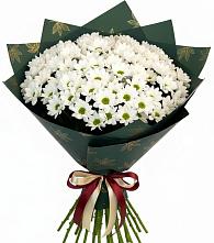 Букет цветов из:  Хризантемы в Нижний Кисляй