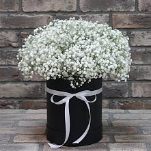 Цветочная композиция из Гипсофила в шляпной коробке в Нижний Кисляй